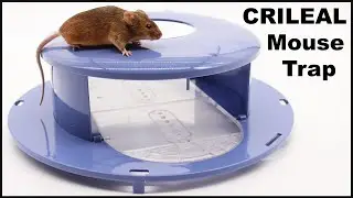 The CRILEAL Bucket Lid mouse trap sold on Amazon. Mousetrap Monday