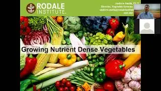 Growing Nutrient Dense Vegetables