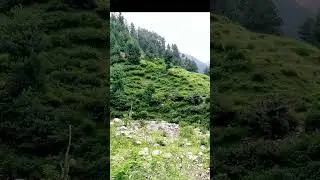 Beautiful Northern  Areas | Swat tour | Hunza | naran | Skardu #swat #beautifulpakistan #AlexSed