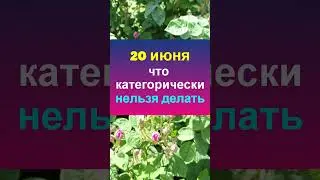 20 июня народный праздник Федотов день. Что нельзя делать. Народные традиции приметы обряды