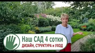 Видео журнал 