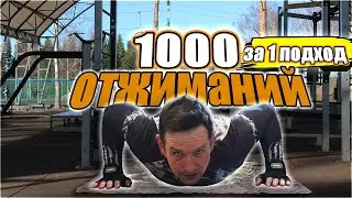 Отжимания от пола 1000 раз за 1 подход.История одной тренировки!