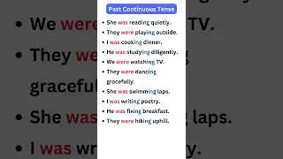 Past Continuous Tense Examples 