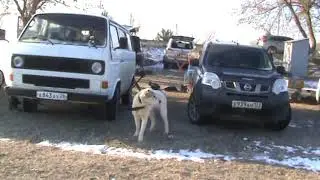 Выставка голубей, г. Славянск-на-Кубани, 21.02.2021, часть 2.