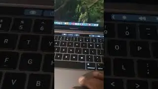 Help! MacBook M1 issue. trackpad or keyboard or software? idk