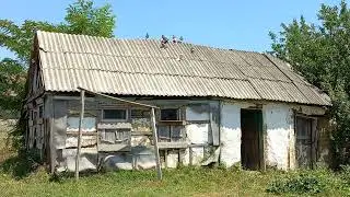 Голуби в гостях у мутнава отшельника !!!