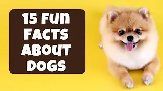 15 Fun Facts about Dogs for kids | Facts about Dogs