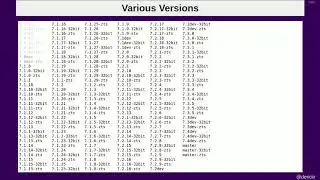 DPC2019: Xdebug 3.0 - Derick Rethans