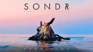 Sondr - Surviving feat. Joe Cleere (Cover Art)