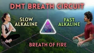 [AMPLIFY AWARENESS!] Quick 5-Minute Breath Circuit to Revitalize Your Day with a Natural High