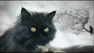 Весна.Коты прилетели...