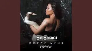 После меня (Remix)