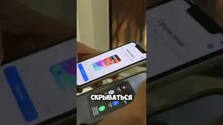 нам попался перекуп…