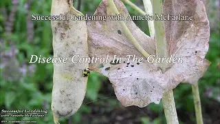 Disease Control In The Garden