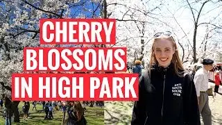 EXPLORING TORONTO | Cherry Blossoms in High Park