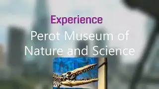 Experience Perot Museum of Nature and Science