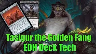 Commander Cafe: Tasigur the Golden Fang Sultai Deck Tech-Magic: the Gathering EDH/Commander