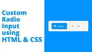 Create Custom Animated Radio Input using HTML & CSS