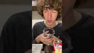 MAKING AVOCADO CONDENSED MILK DESSERT 