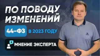 Изменения 44-фз и 223-фз. Моя точка зрения на эту тему. Госзакупки. Госзаказ. Тендер.