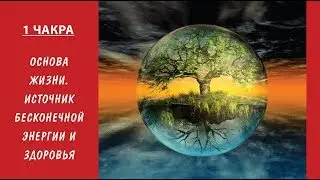 Сергей Князев. Вебинар 1 ЧАКРА «Основа Жизни. Источник бесконечной энергии и здоровья»