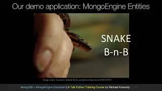 MongoDB and Python Quickstart (5/21): Demo: Defining mongoengine entities (classes)