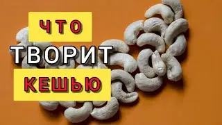 Кешью: польза и вред для организма