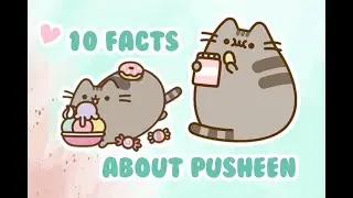 10 PUSHEEN FACTS YOU NEED TO KNOW