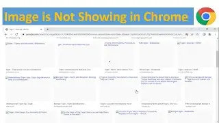 Images Not Showing in Chrome | Photos Not Showing In Google Chrome #chrome #googlesearch