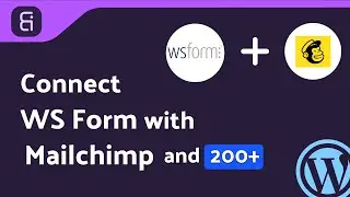 Integrating WS Form with Mailchimp Using Bit Integrations Plugin