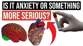 How To Know If It’s Anxiety Symptoms Or Something More Serious? Hard Question!