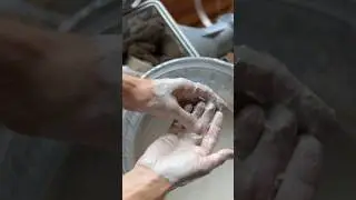 clay poop