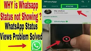 whatsapp status not showing views How Can I Fix it? whatsapp status not showing views gb whatsapp