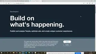 How to set up Twitter developer account and to test Twitter account