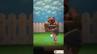 Tom Nook died? 