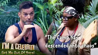 Dirty dishes cause tension | I'm A Celebrity... Get Me Out of Here!