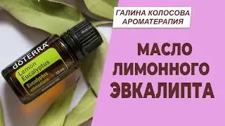 Масло лимонного эвкалипта | Галина Колосова Ароматерапия