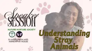 Understanding Stray Animals