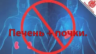 похмелье. Печень и Почки. 