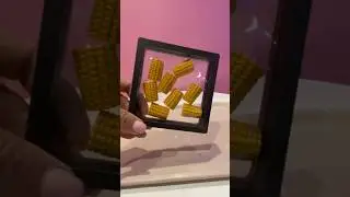 Corn in a frame