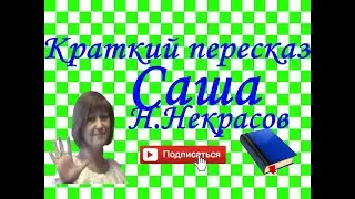 Краткий пересказ Н.Некрасов САША