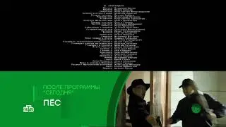 Начало программы 