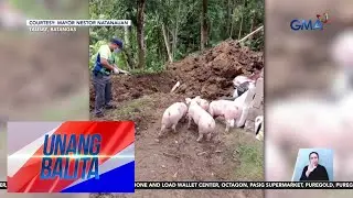 Dept. of Agriculture – Nabungkal na libingan ng mga baboy na dati nang nagka-ASF,... | Unang Balita