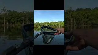 Crappie fishing with a jig and minnow