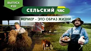 Фермер - это образ жизни. Сельский час #18 (Игорь Абакумов)