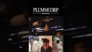 lil bro did NOT cook (Plummcorp)