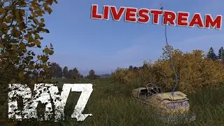 ALTERNATIVE 1PP  -  DayZ 1.21