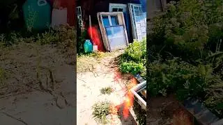 Спалил бы всЁ к чЕртям собачим! 👹 