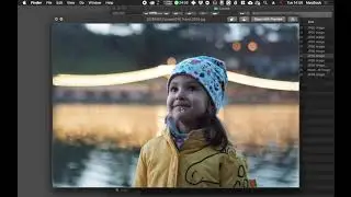 Зачем нужны каталоги Lightroom и как их использовать