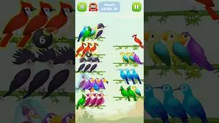 Puzzle short bird 2024 Classic level 79 gaming 🤠🤠🤠🤠🤠🤠🤠🤠🤠🤠🤠🤠🤠🤠🤠🤠🤠🤠🤠🤠🤠🤠